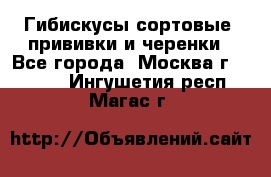 Гибискусы сортовые, прививки и черенки - Все города, Москва г.  »    . Ингушетия респ.,Магас г.